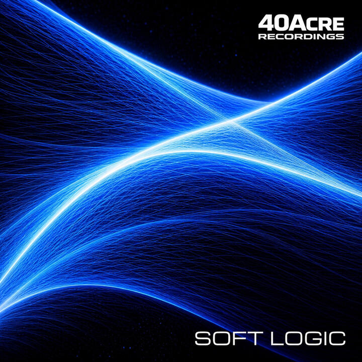 Soft Logic